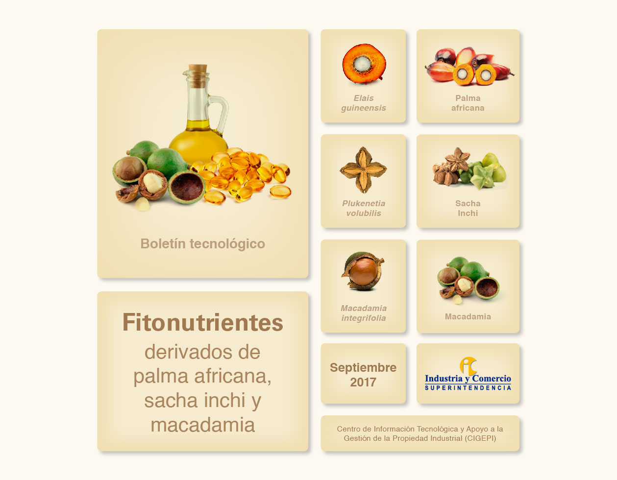 Cuadrícula sobre fitonutrientes de palma africana, sacha inchi y macadamia. Muestra imágenes de los frutos, aceite y cápsulas. Y un texto con el titulo del boletín
