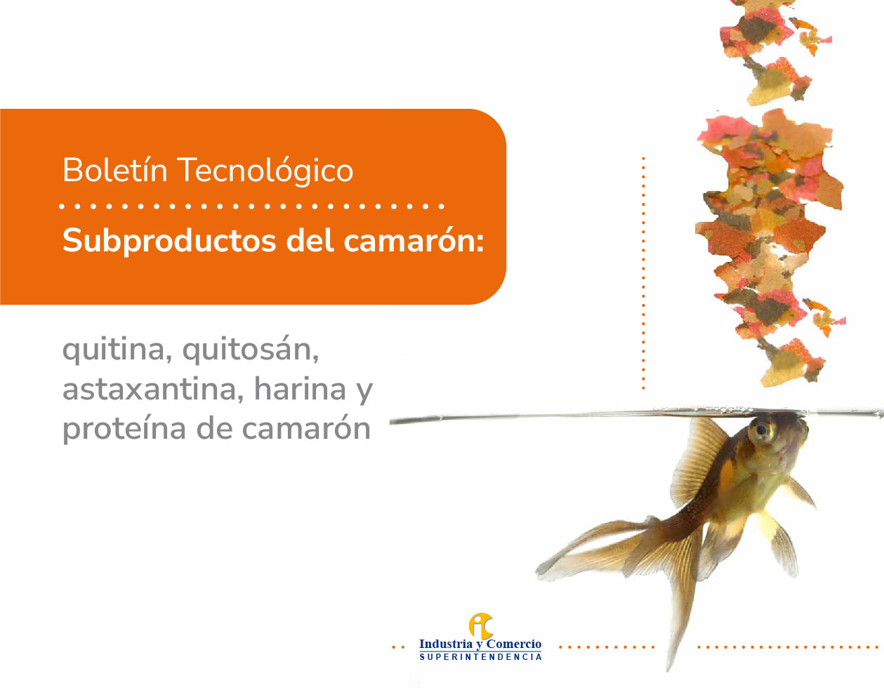 Portada de boletín sobre subproductos del camarón con un pez y alimento