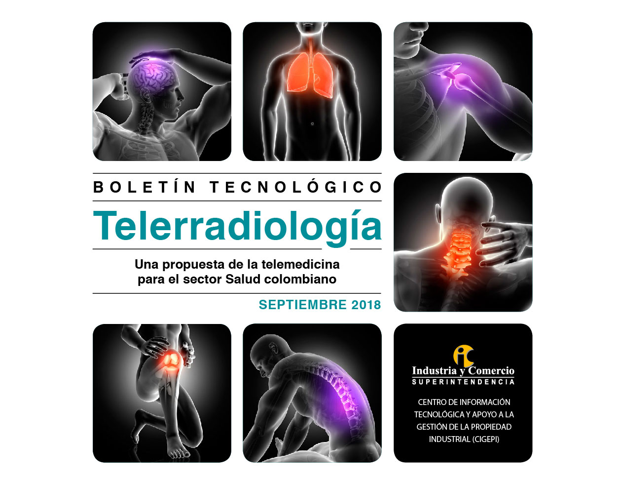 Imágenes de radiografías del cuerpo humano y el título de la publicación