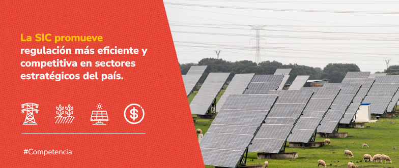 Banner de la SIC sobre regulación eficiente y competitiva, con imagen de una planta solar donde pastan ovejas.