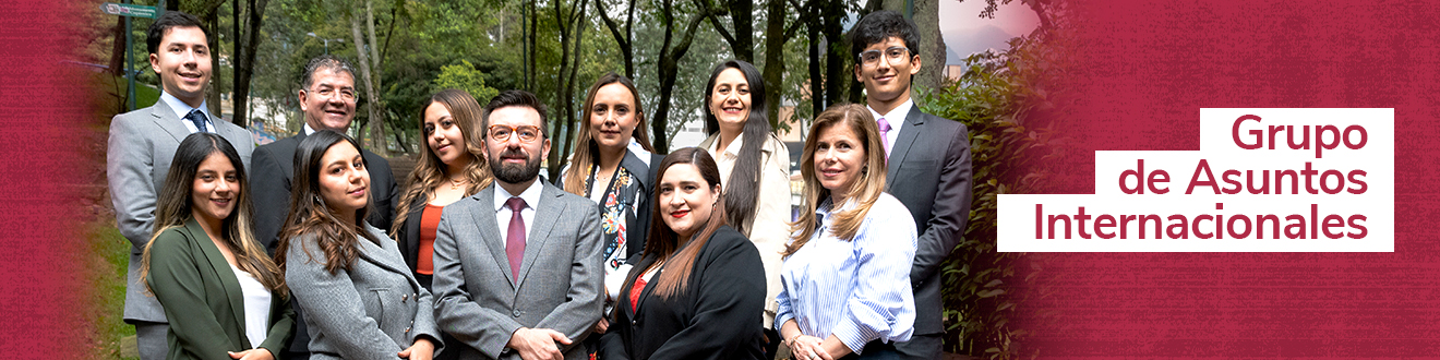Grupo de Asuntos Internacionales