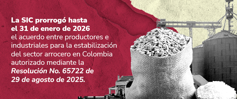 Banner con el titulo e información de la Resolución 