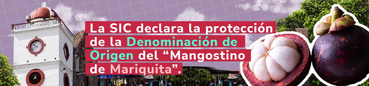 Imagen decorativa - Banner mangostino de mariquita