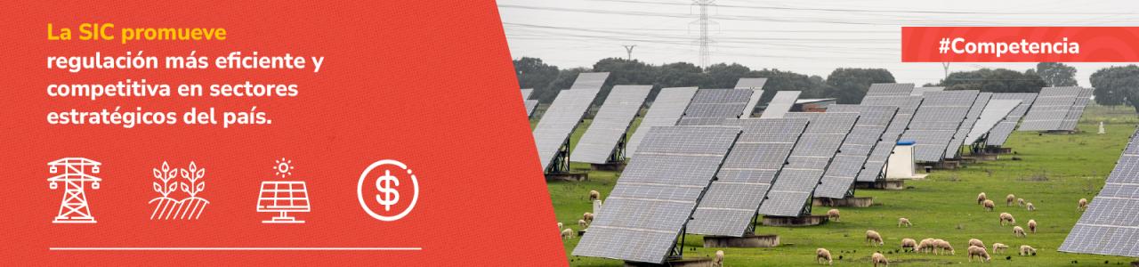 Banner de la SIC sobre regulación eficiente y competitiva, con imagen de una planta solar donde pastan ovejas.