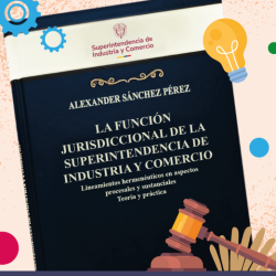 11 Lineamientos de asuntos jurisdiccionales