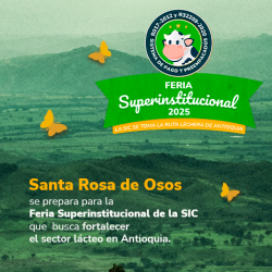 Banner con el titulo de la Noticia