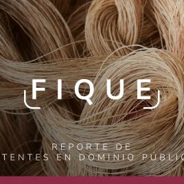Fibras de fique entrelazadas. Sobre ellas, el texto 'FIQUE' en blanco con corchetes, y debajo 'REPORTE DE PATENTES EN DOMINIO PÚBLICO