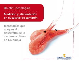 Portada de un boletín tecnológico sobre medición y alimentación en el cultivo de camarón en Colombia, con dos camarones cocidos y el logo de la Superintendencia de Industria y Comercio.