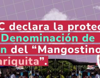 Imagen decorativa - Banner mangostino de mariquita