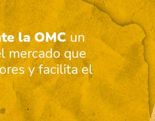 Imagen decorativa - Banner Colombia antes la OMC