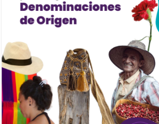 Banner con el titulo de la Noticia