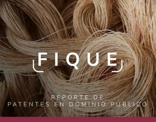 Fibras de fique entrelazadas. Sobre ellas, el texto 'FIQUE' en blanco con corchetes, y debajo 'REPORTE DE PATENTES EN DOMINIO PÚBLICO