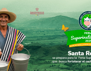 Banner con el titulo de la Noticia