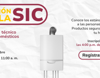 Poster con el Titulo e información de ¨Precisión con la SIC¨