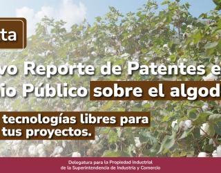 Banner con el titulo de la Noticia