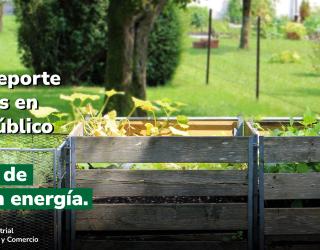 Ilustración de Paisaje y un Texto de Descubre el nuevo reporte de patentes en dominio público