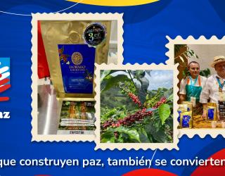 Banner con el titulo de Marcas de Paz