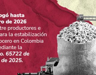 Banner con el titulo e información de la Resolución 