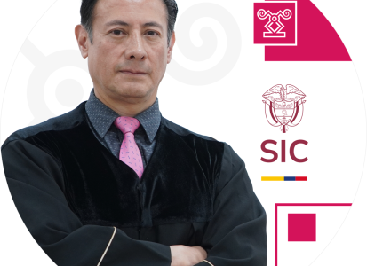 Juez adscrito a la Delegatura para Asuntos Jurisdiccionales