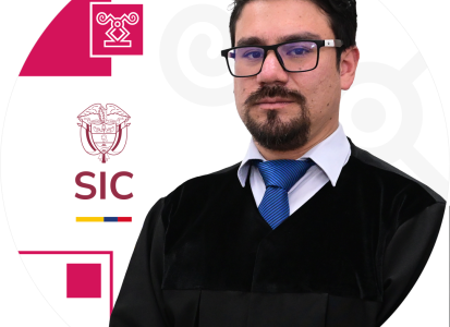 Juez adscrito a la Delegatura de Asuntos Jurisdiccionales