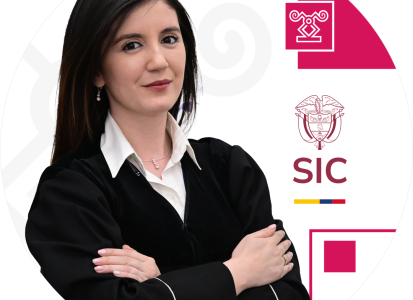 Juez adscrito a la Delegatura de Asuntos Jurisdiccionales