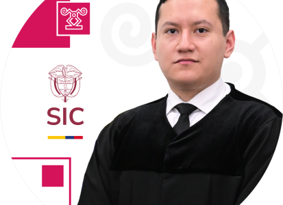 Juez adscrito a la Delegatura de Asuntos Jurisdiccionales