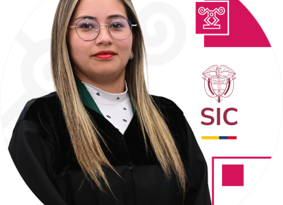 Juez adscrito a la Delegatura de Asuntos Jurisdiccionales