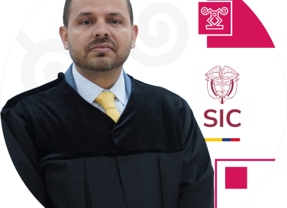 Juez adscrito a la Delegatura para Asuntos Jurisdiccionales