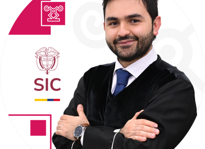 Juez adscrito a la Delegatura de Asuntos Jurisdiccionales