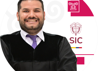 Juez adscrito a la Delegatura de Asuntos Jurisdiccionales