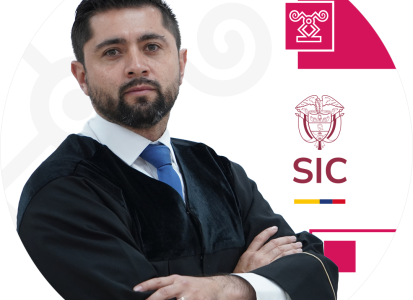 Juez adscrito a la Delegatura de Asuntos Jurisdiccionales