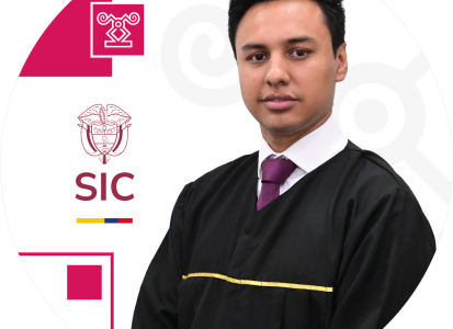 Juez adscrito a la Delegatura de Asuntos Jurisdiccionales