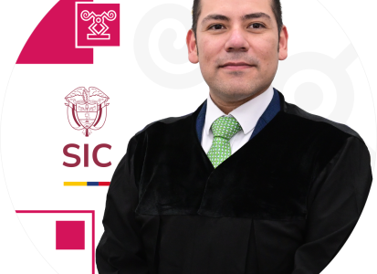 Juez adscrito a la Delegatura de Asuntos Jurisdiccionales