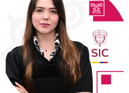 Juez adscrito a la Delegatura de Asuntos Jurisdiccionales