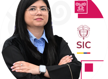 Juez adscrito a la Delegatura de Asuntos Jurisdiccionales