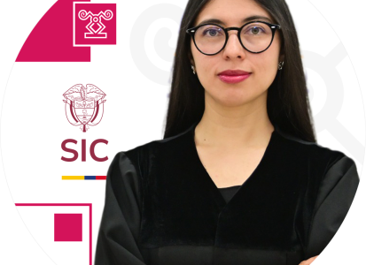 Juez adscrito a la Delegatura de Asuntos Jurisdiccionales