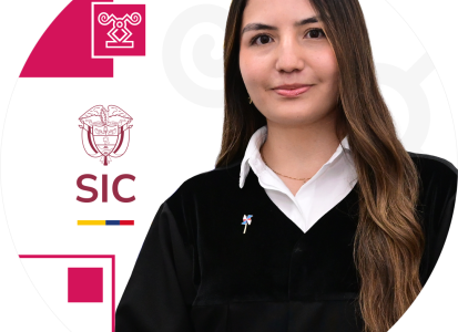 Juez adscrito a la Delegatura de Asuntos Jurisdiccionales