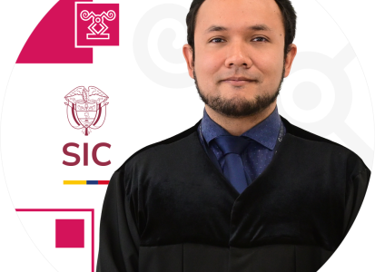 Juez adscrito a la Delegatura de Asuntos Jurisdiccionales