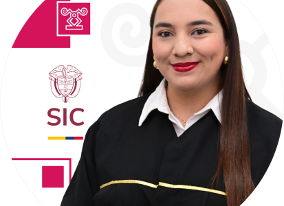 Juez adscrito a la Delegatura de Asuntos Jurisdiccionales