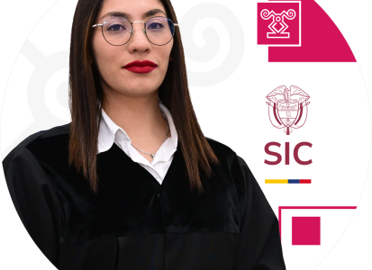 Juez adscrito a la Delegatura de Asuntos Jurisdiccionales