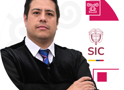 Juez adscrito a la Delegatura de Asuntos Jurisdiccionales