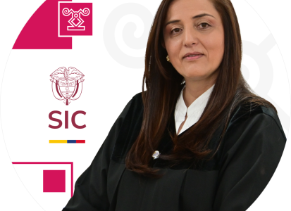 Juez adscrita a la Delegatura para Asuntos Jurisdiccionales