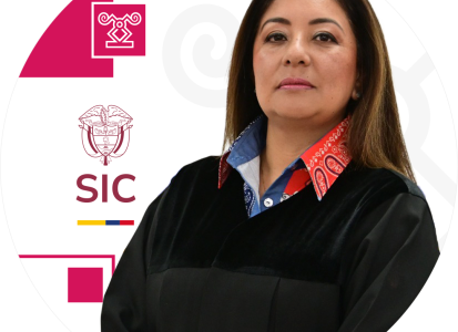 Juez adscrita a la Delegatura para Asuntos Jurisdiccionales