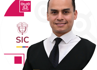 Juez adscrito a la Delegatura de Asuntos Jurisdiccionales