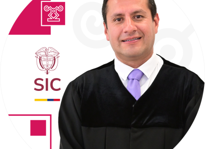 Juez adscrito a la Delegatura de Asuntos Jurisdiccionales