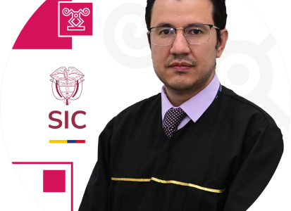 Juez adscrito a la Delegatura de Asuntos Jurisdiccionales