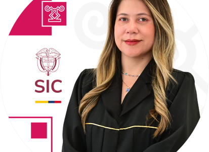 Juez adscrito a la Delegatura de Asuntos Jurisdiccionales