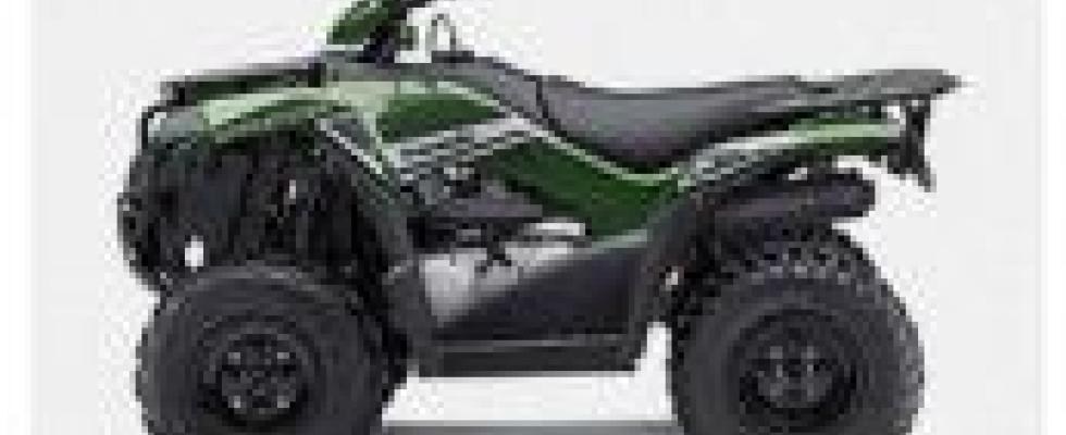 Motocicleta KAWASAKI BRUTE FORCE