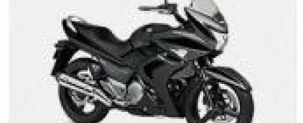 Motocicleta SUZUKI GW 250