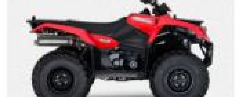 Motocicleta SUZUKI KINGQUAD